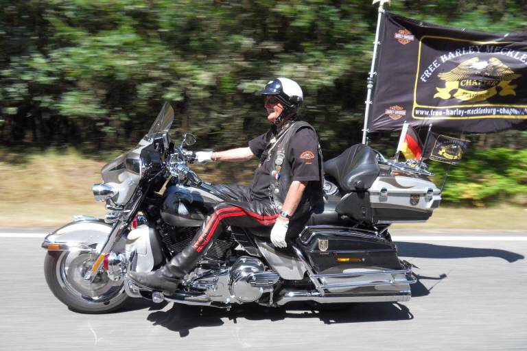 Nichts geht &uuml;ber einen guten Leitwolf!